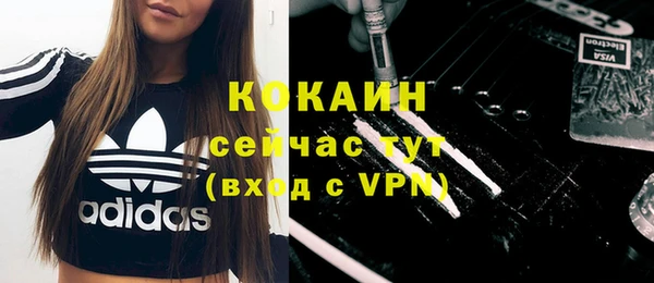 сатива Михайловка