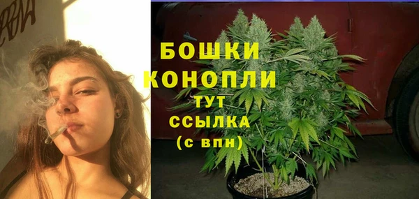сатива Михайловка