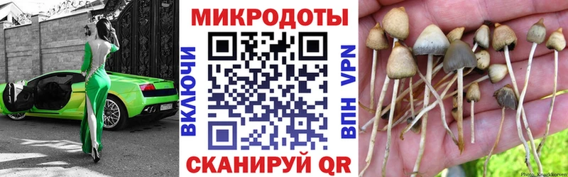Псилоцибиновые грибы MAGIC MUSHROOMS  mega онион  Пушкино 