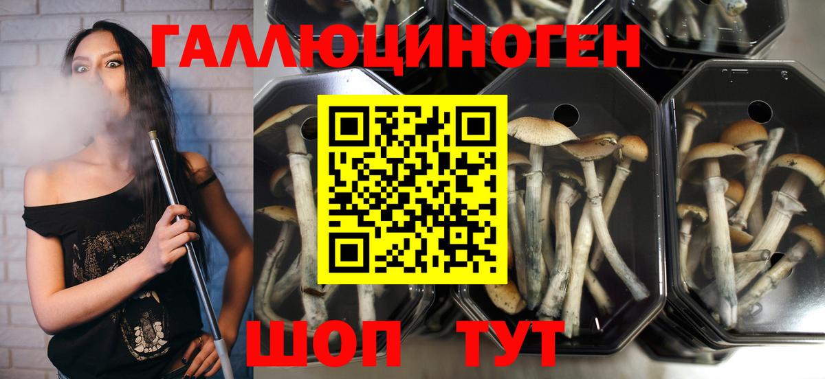 Псилоцибиновые грибы MAGIC MUSHROOMS  Вход с VPN  Пушкино 
